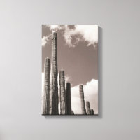 Saguaro Cactus Pipes Desert B&W Photo Art Imprimer