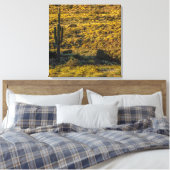 Toile Saguaro Cactus Sonoran Désert Au Printemps 24X24 (Insitu(Chambre))