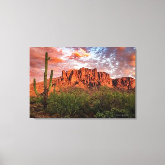 Toile Saguaro Cactus Superstition Mountain Sunset 36x24 (Recto)