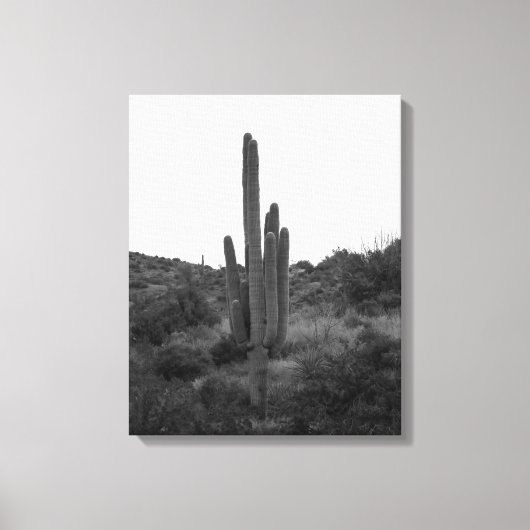 Toile Saguaro noir et blanc Cactus 16x20 (Recto)