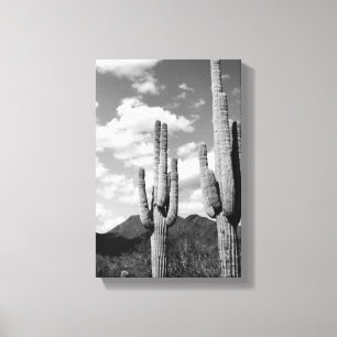 Toile Saguaro Sentinels Photo Canvas (Désert de Sonoran
