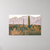 Toile Saguaros (Recto)