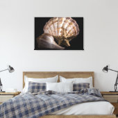 Toile Saint Jacques, Whelk, Etoile de mer (Insitu(Chambre))