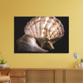 Toile Saint Jacques, Whelk, Etoile de mer (Insitu(Salon))