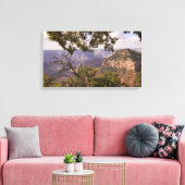 Toile Saison De Mousson À North Rim Du Grand Canyon (Insitu(Salon))