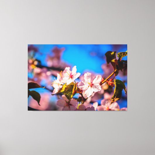 Toile Sakura En Rose Et Bleu (Recto)