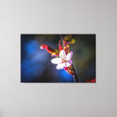 Toile Sakura - Fleur de cerise japonaise (Recto)