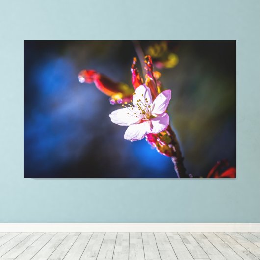 Toile Sakura - Fleur de cerise japonaise (Insitu (Plancher de Bois))