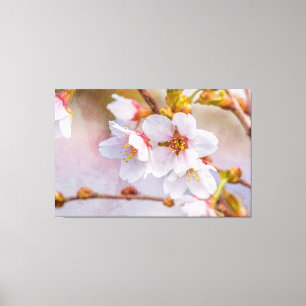 Toile Sakura - Fleur de cerisier japonaise