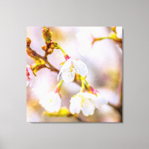 Toile Sakura - Fleur de cerisier japonaise