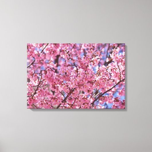 Toile Sakura Pink Cherry Blossom Sky (Recto)