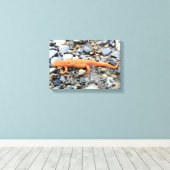 Toile Salamander orange (Insitu (Plancher de Bois))