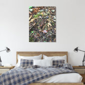 Toile Salamandre dans la forêt, Washington (Insitu(Chambre))