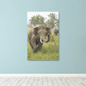 Toile Salutation des éléphants d'Asie indienne (Insitu (Plancher de Bois))