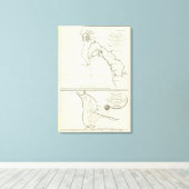 Toile San Diego, Californie (Insitu (Plancher de Bois))