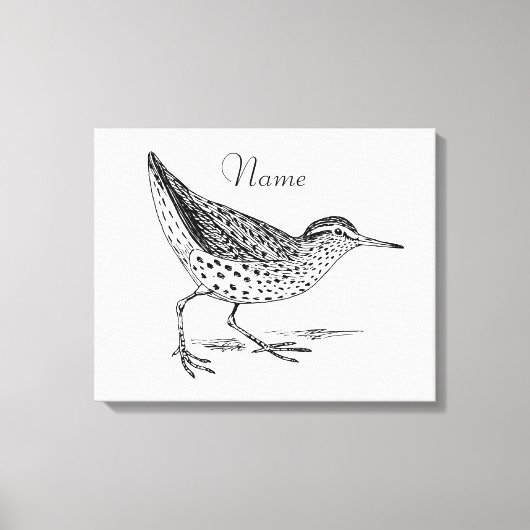 Toile Sandpiper Shorer Thunder_Cove (Recto)