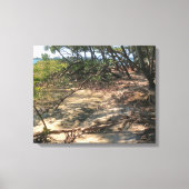 Toile Sandy Path à travers les mangroves (Recto)