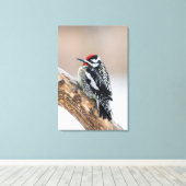 Toile Sapsucker à ventre jaune mâle (Insitu (Plancher de Bois))