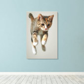 Toile Saut de chat Calico (Insitu (Plancher de Bois))