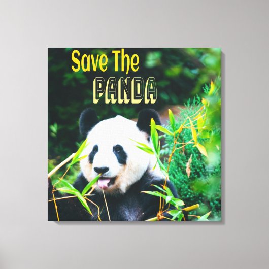 Toile Sauvez Le Panda (Recto)