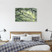 Toile Savannah, Géorgie, Chêne en direct drapé avec (Insitu(Chambre))