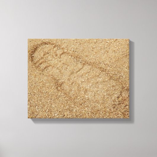 Toile Sawdust Schiff (Recto)