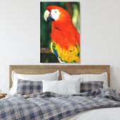Toile Scarlet Macaw (Insitu(Chambre))