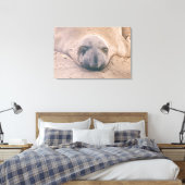 Toile Sceau dormant (Insitu(Chambre))