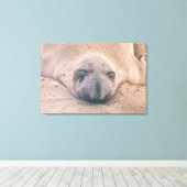 Toile Sceau dormant (Insitu (Plancher de Bois))