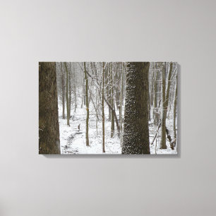 Toile Scène de bois enneigés