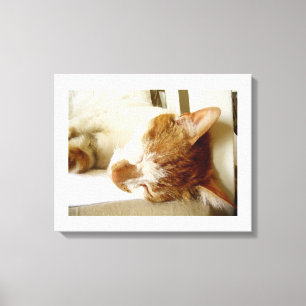Toile Scène de chat endormi peint