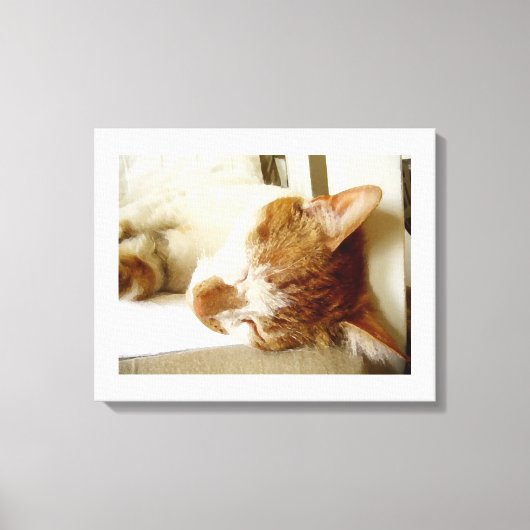 Toile Scène de chat endormi peint (Recto)