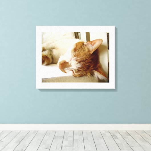 Toile Scène de chat endormi peint (Insitu (Plancher de Bois))