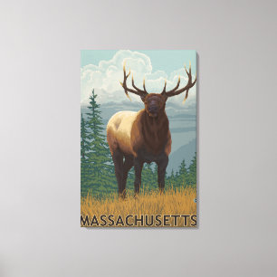Toile Scène de MassachusettsElk