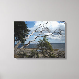 Toile Scène de nature avec des branches