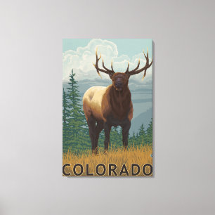 Toile Scène Elk Colorado