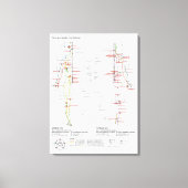 Toile Schéma des méridiens chinois du corps humain (Recto)