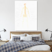 Toile Schéma du système nerveux du corps humain (Insitu(Chambre))