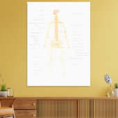 Toile Schéma du système nerveux du corps humain (Insitu(Salon))