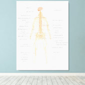Toile Schéma du système nerveux du corps humain (Insitu (Plancher de Bois))