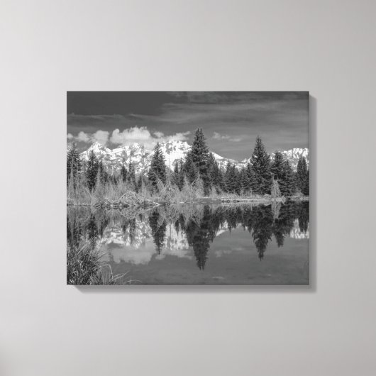 Toile Schwabacher Landing (Recto)