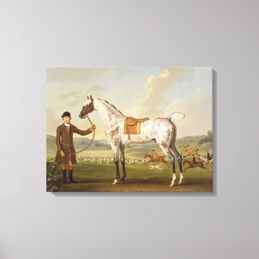 Toile Scipio, Colonel Roche's Spotted Hunter, vers 1750 (Recto)