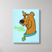 Toile Scooby-Doo Winking (Recto)