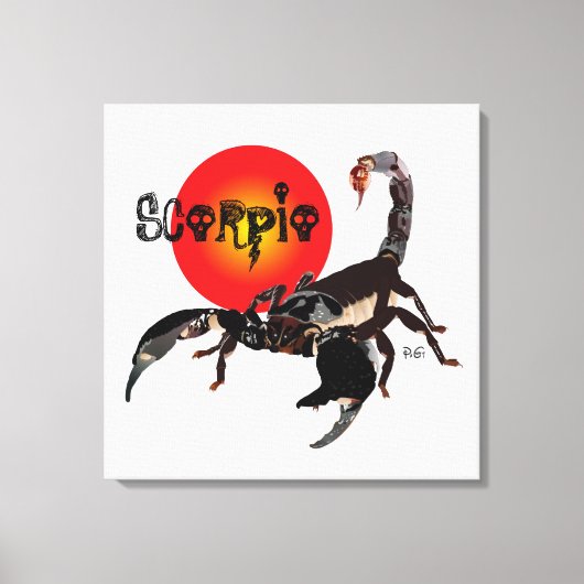 Toile scorpion (Recto)