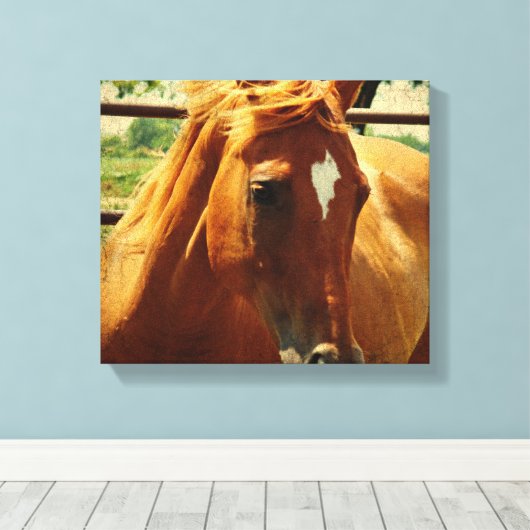 Toile Scotch (Insitu (Plancher de Bois))