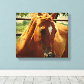 Toile Scotch (Insitu (Plancher de Bois))