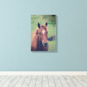 Toile Scotch Grunge (Insitu (Plancher de Bois))