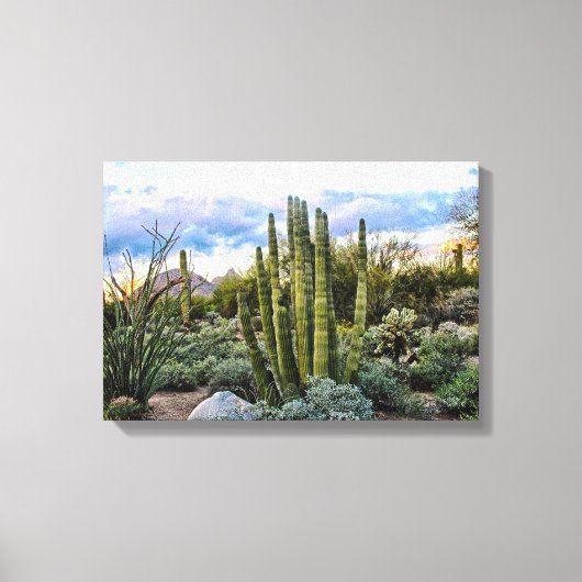 Toile Scottsdale Succulent Sunset (Recto)