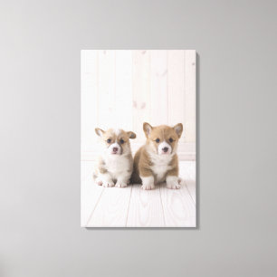 Toile Se reposer de deux corgis de Gallois