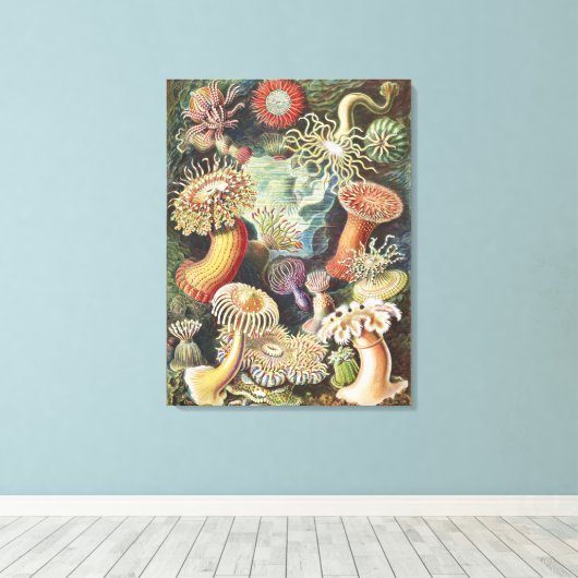 Toile Sea Anemone Scientific Nature Ocean (Insitu (Plancher de Bois))
